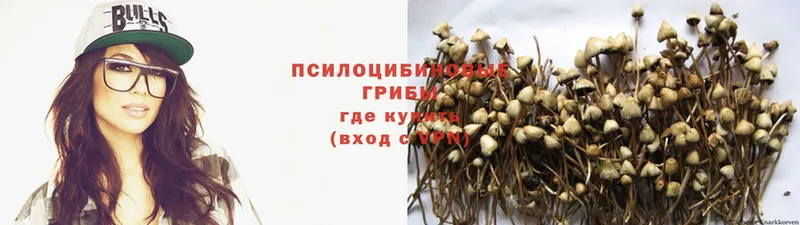 Галлюциногенные грибы MAGIC MUSHROOMS  Куровское 